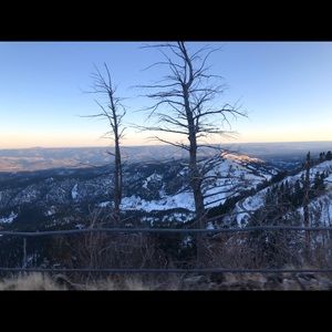 Meet your Posher, Orfelinda